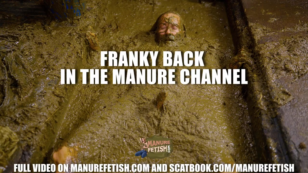 Franky Back In The Manure Channel preview