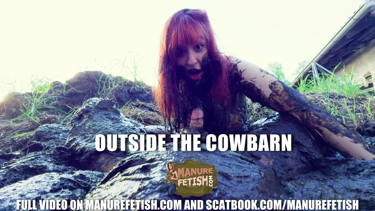 Outside The Cow Barn preview