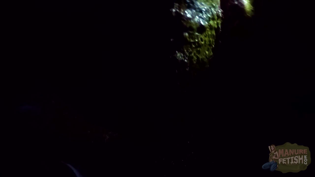 Manure Channel Exploration preview