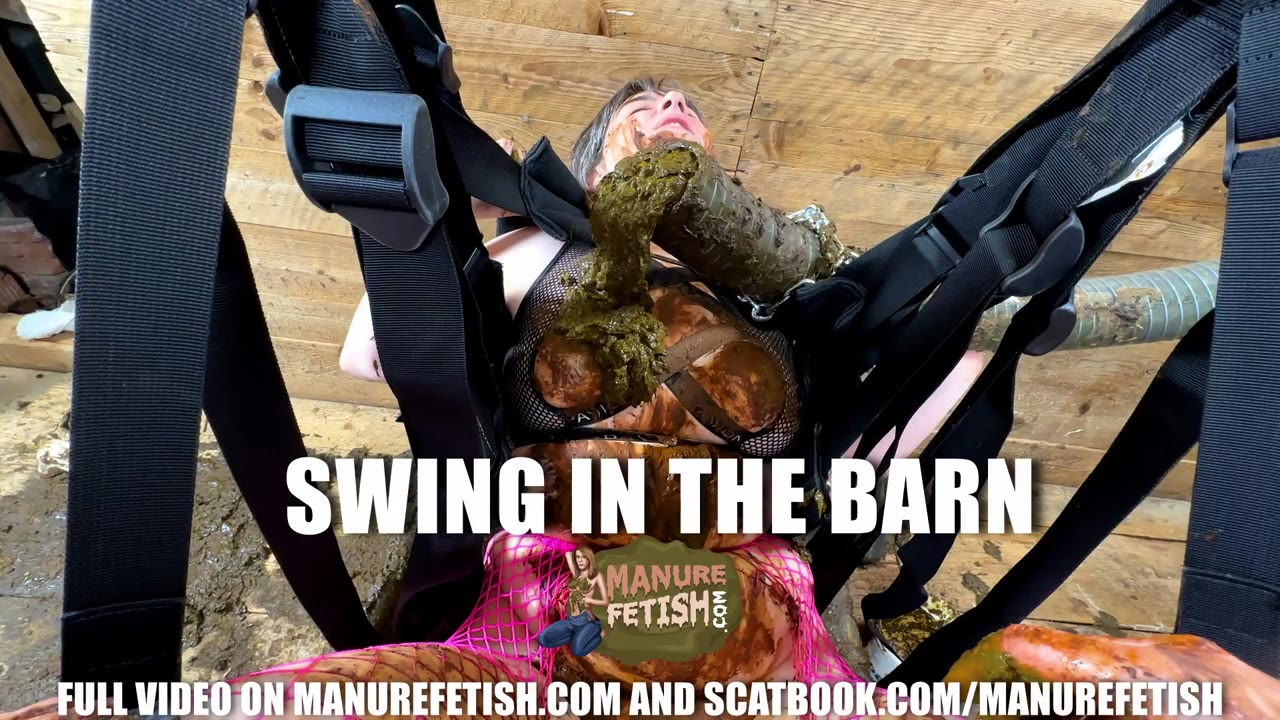 Swing in the Barn preview