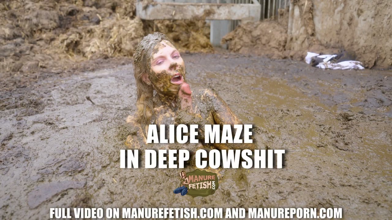 Avance: Alice Maze extrema en el establo