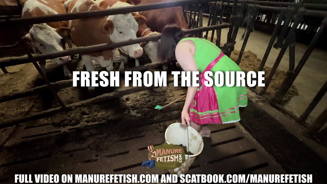 Fresh From The Source preview
