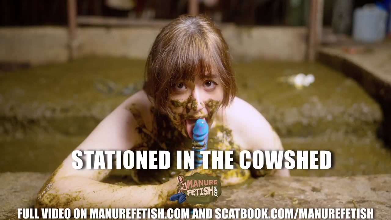 Stationed In The Cowshed preview