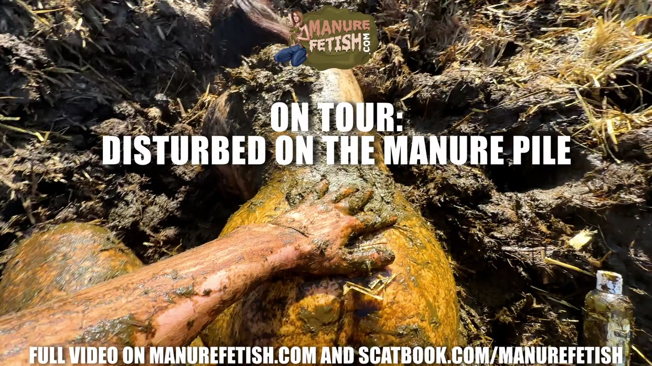 ON TOUR: Disturbed on the manure pile preview