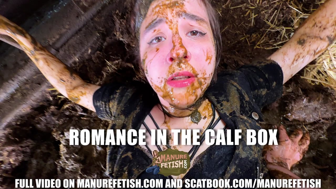 Romance In The Calf Box preview