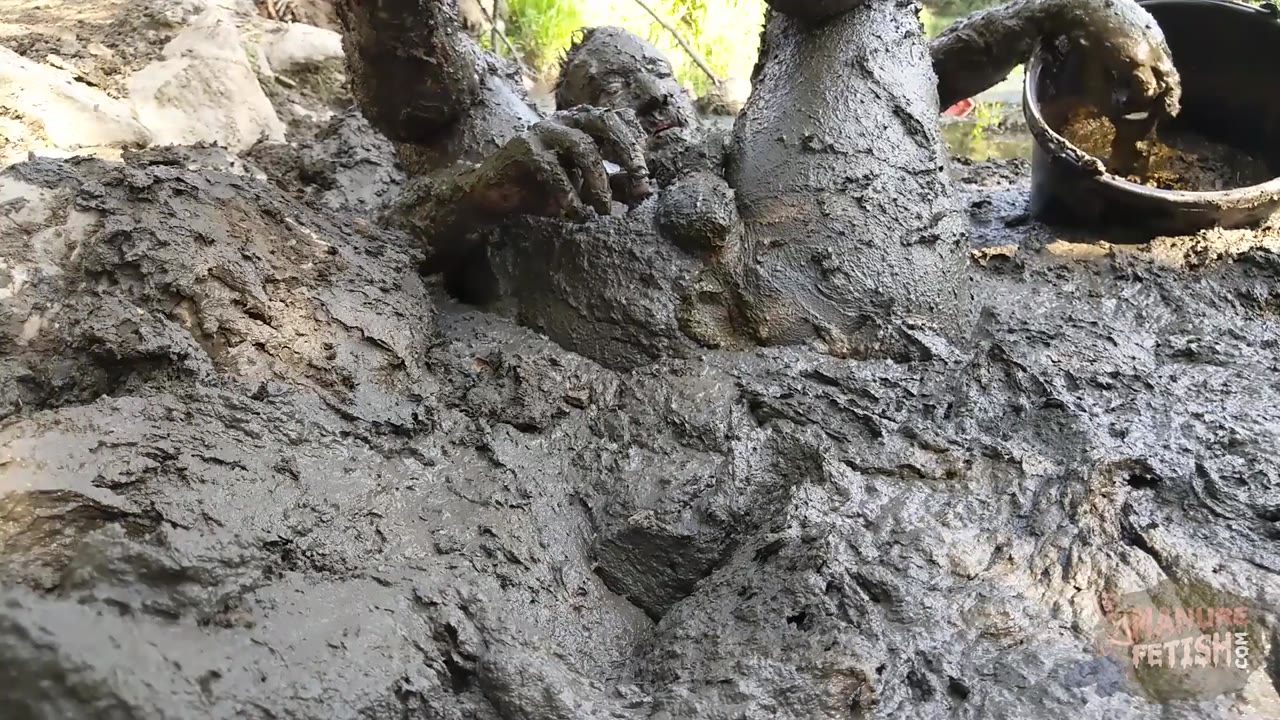 Mud & Manure preview