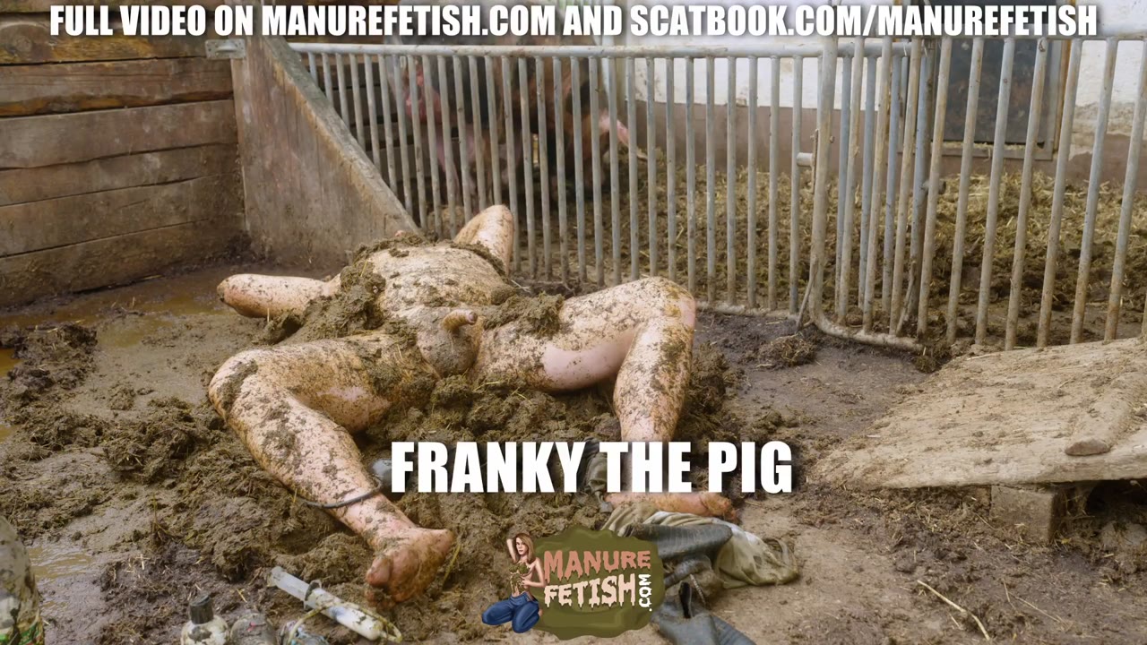 Franky The Pig Trailer