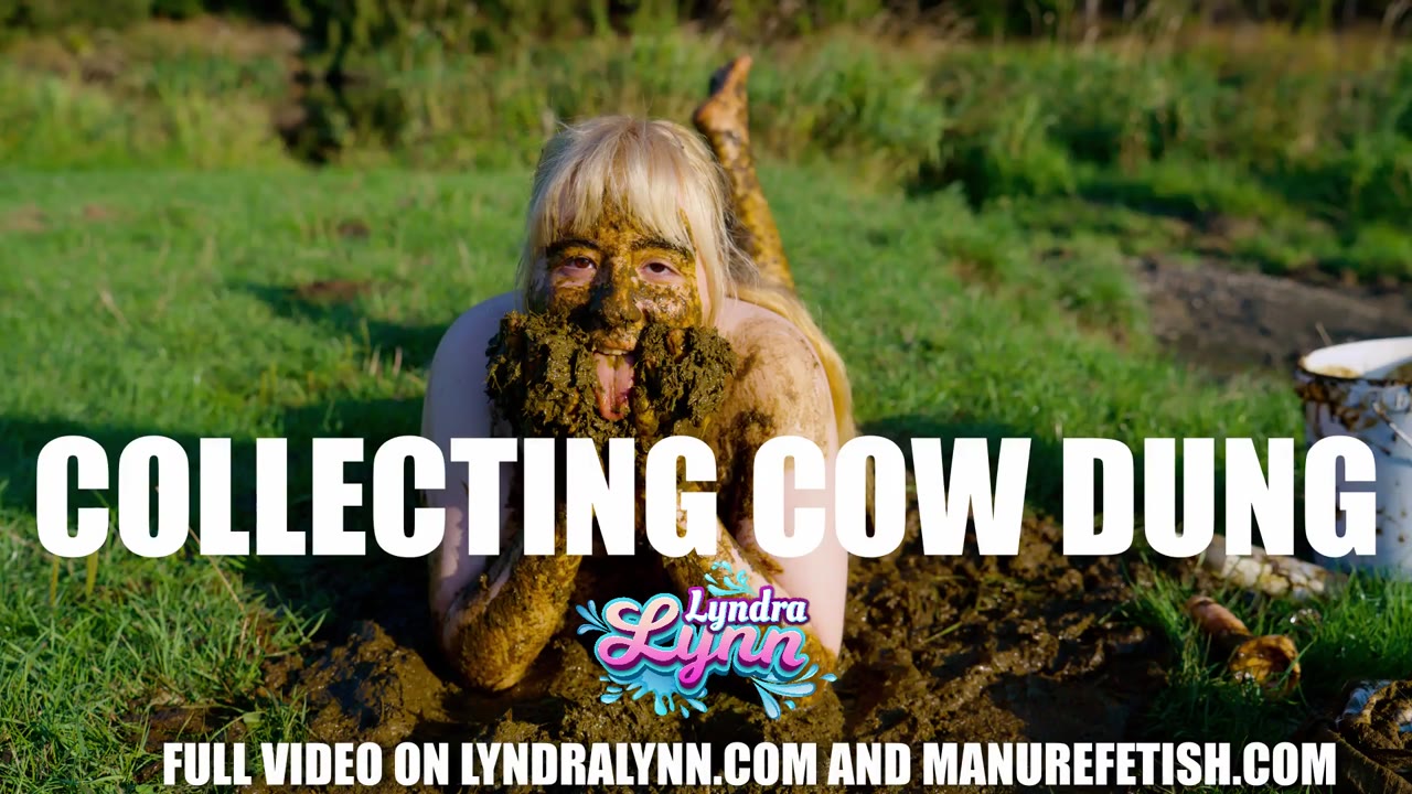 Collecting Cow Dung Trailer