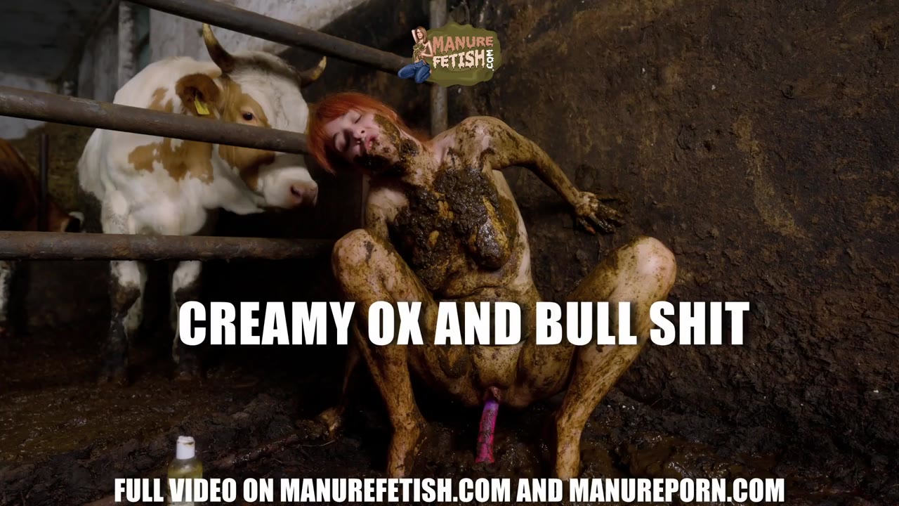 Creamy Ox And Bull Shit preview