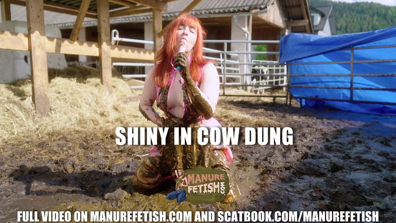 Shiny In Cow Dung preview